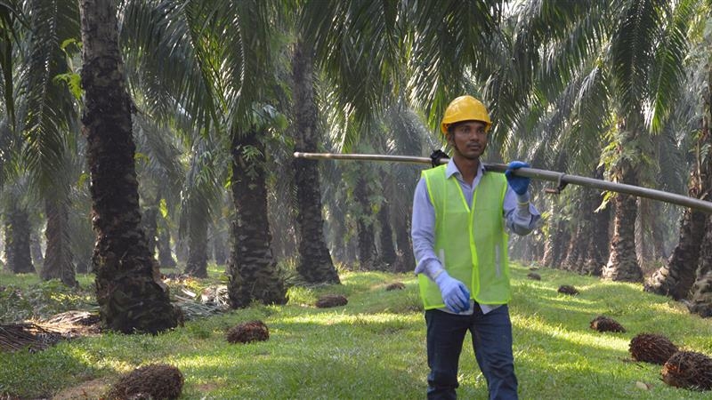 Worker in a field