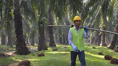 Worker in a field