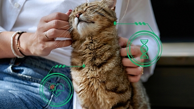 Pet owner with cat