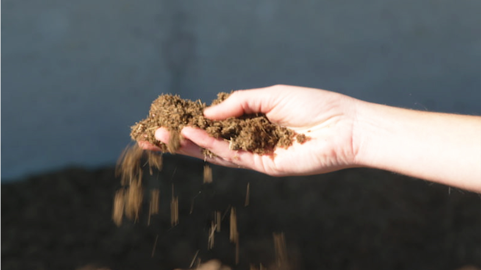 Manure in hand