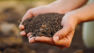 Healthy Soils