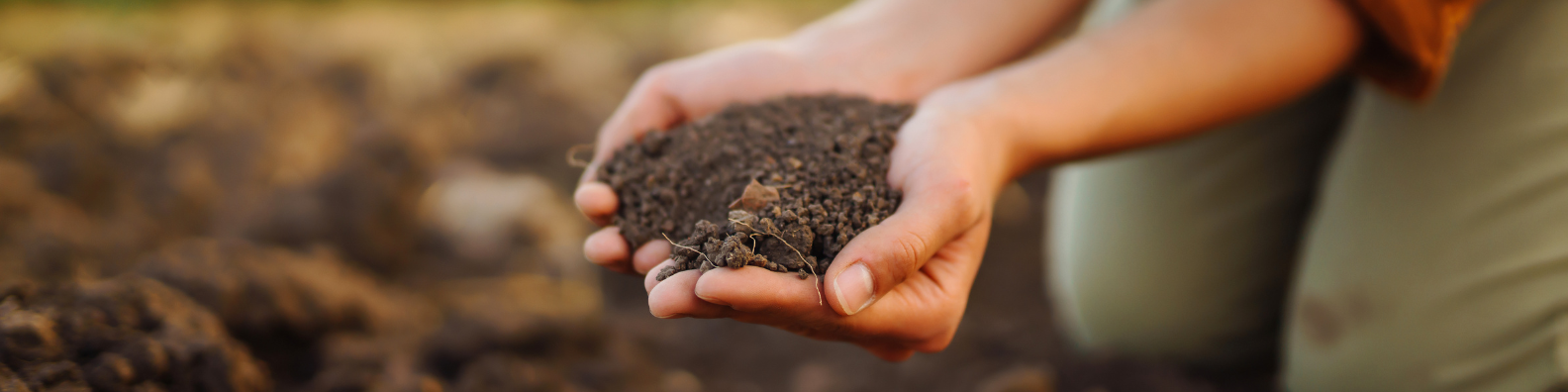Healthy Soils