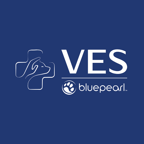 Vet Insight logo